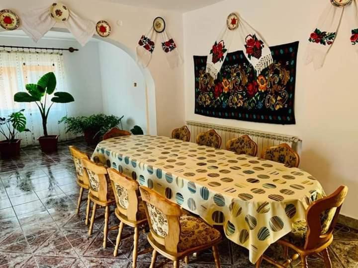 casa anca Hotel Sighetu Marmaţiei Exterior foto