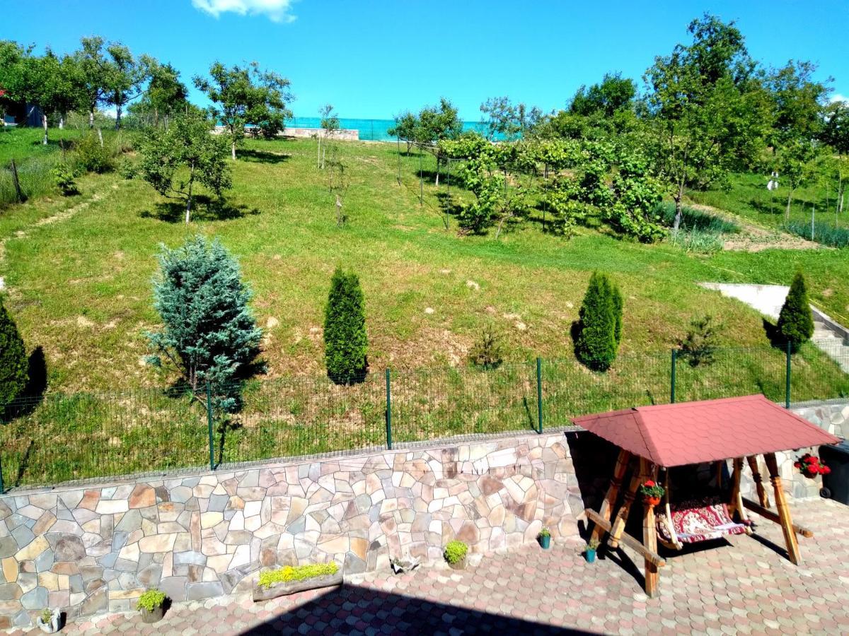 casa anca Hotel Sighetu Marmaţiei Exterior foto